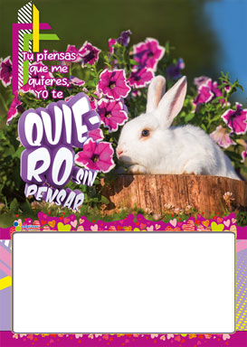Almanaque Fauna Papel ¼ 